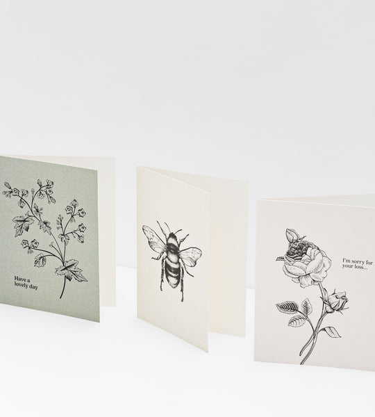 Father Rabbit Stationery | Card | I'm Sorry For Your Loss Rose