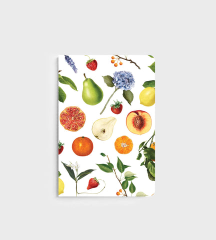 Father Rabbit | Notebook | Summer Fruits