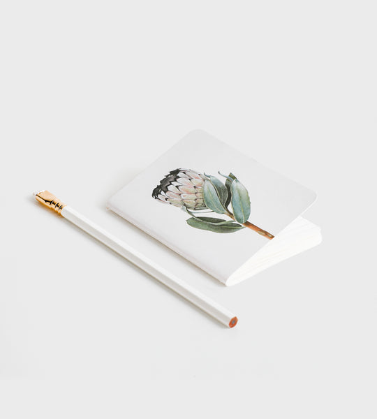 Father Rabbit | B7 Pocket Notebook | Protea