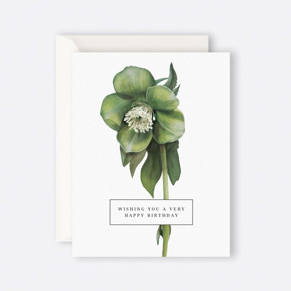 Father Rabbit Stationery | Card | Wishing You A Very Happy Birthday