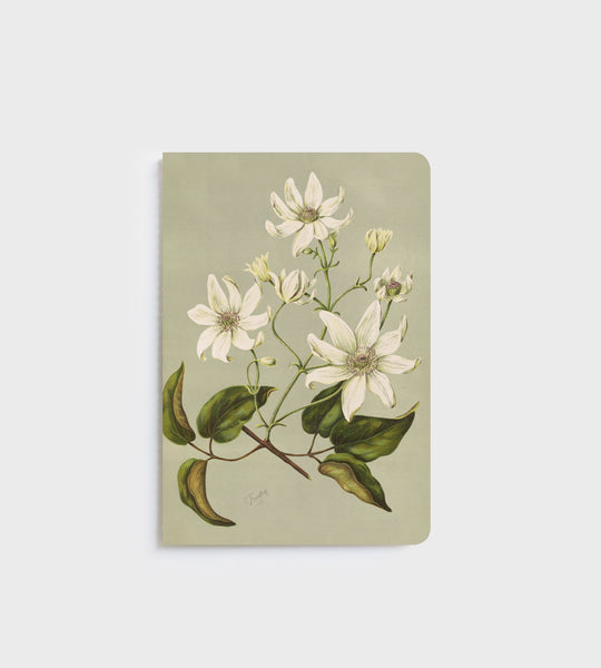 Notebook | Clematis Indivisa