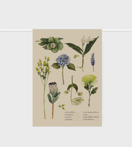 Father Rabbit | Tea Towel Botanical Collection