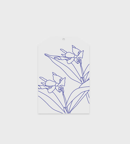 Father Rabbit Stationery | Gift Tag | Blue Jasmine