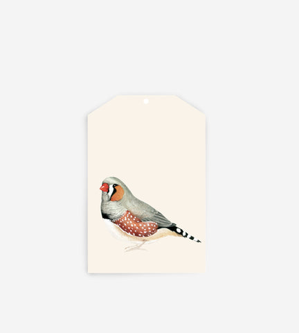 Father Rabbit Stationery | Gift Tag | Bird