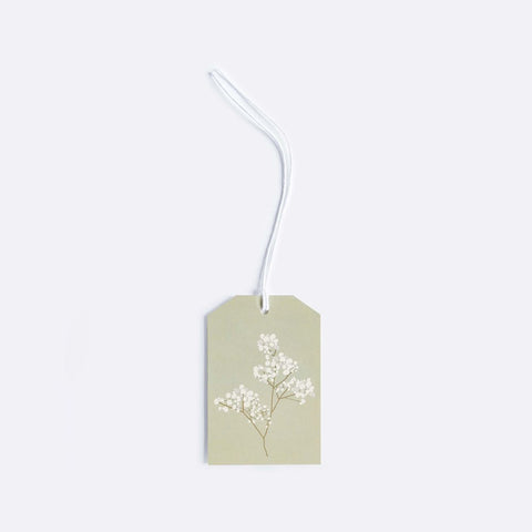 Father Rabbit Stationery | Gift Tag | Blossom
