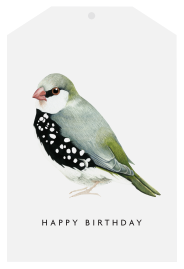 Father Rabbit Stationery | Gift Tag | Happy  Birthday Bird