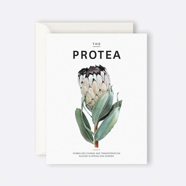 Father Rabbit Stationery | Card | The Protea
