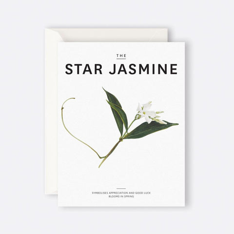 Father Rabbit Stationery | Card | The Star Jasmine
