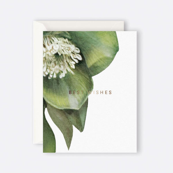 Father Rabbit Stationery | Card | Hellebore Best Wishes