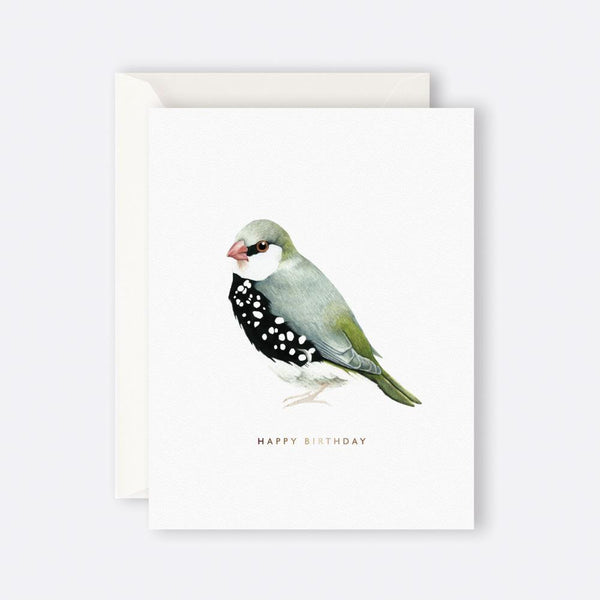 Father Rabbit Stationery | Card | Happy Birthday Bird