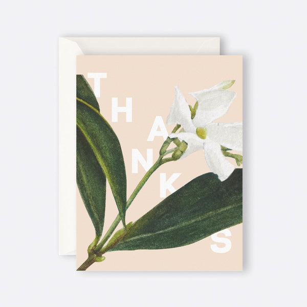 Father Rabbit Stationery | Card | Jasmine Thanks